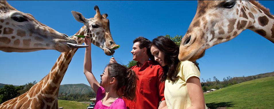 Adventure at San Diego Safari Park