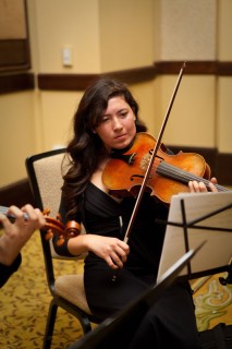 COB2013 0038