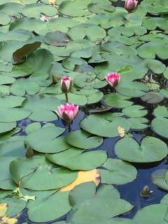 Suzhou - 27